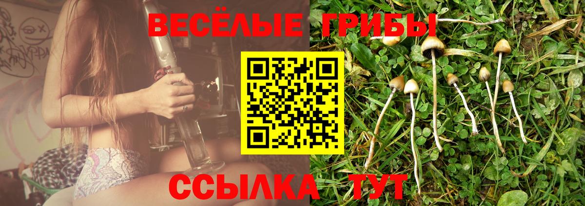 Галлюциногенные грибы Psilocybe  Вход с VPN  Галлюциногенные грибы мухоморы  Кыштым 